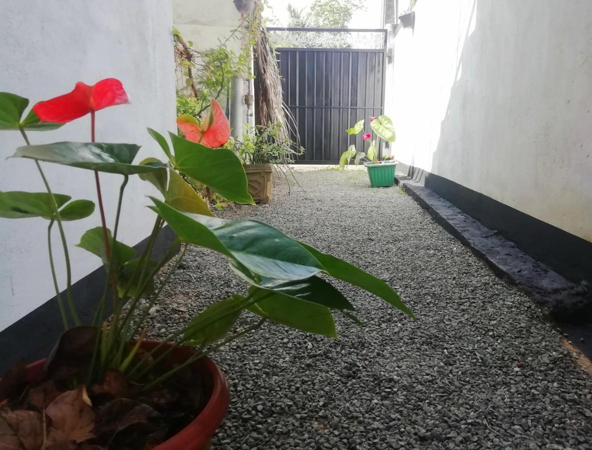 New Coral Garden Weligama Hotel Bagian luar foto
